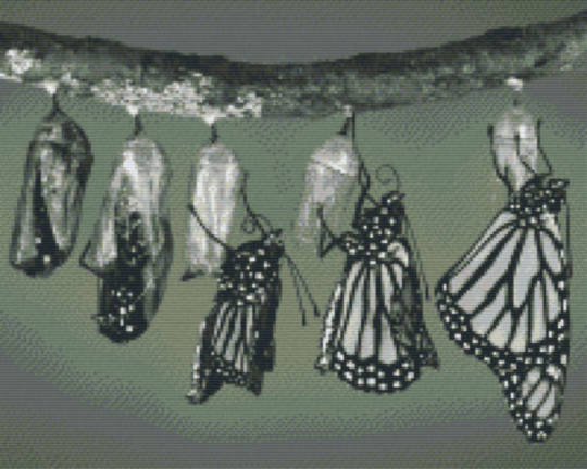 Black And White Butterflies Sixteen [16] Baseplate PixelHobby MIni-mosaic Art Kit